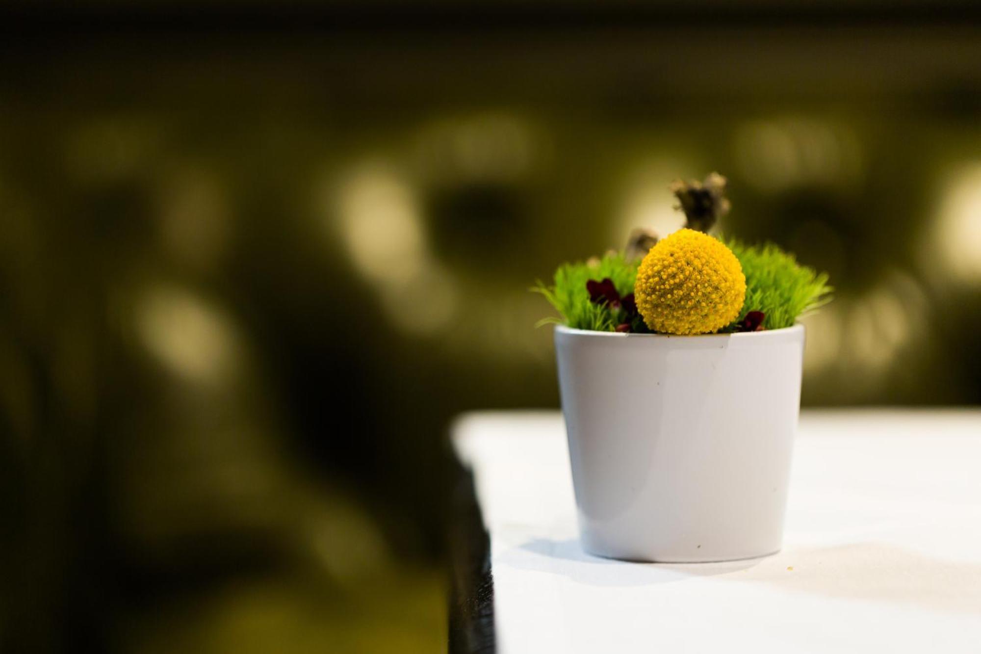 La Cour Des Consuls Hotel And Spa Toulouse - Mgallery Zewnętrze zdjęcie